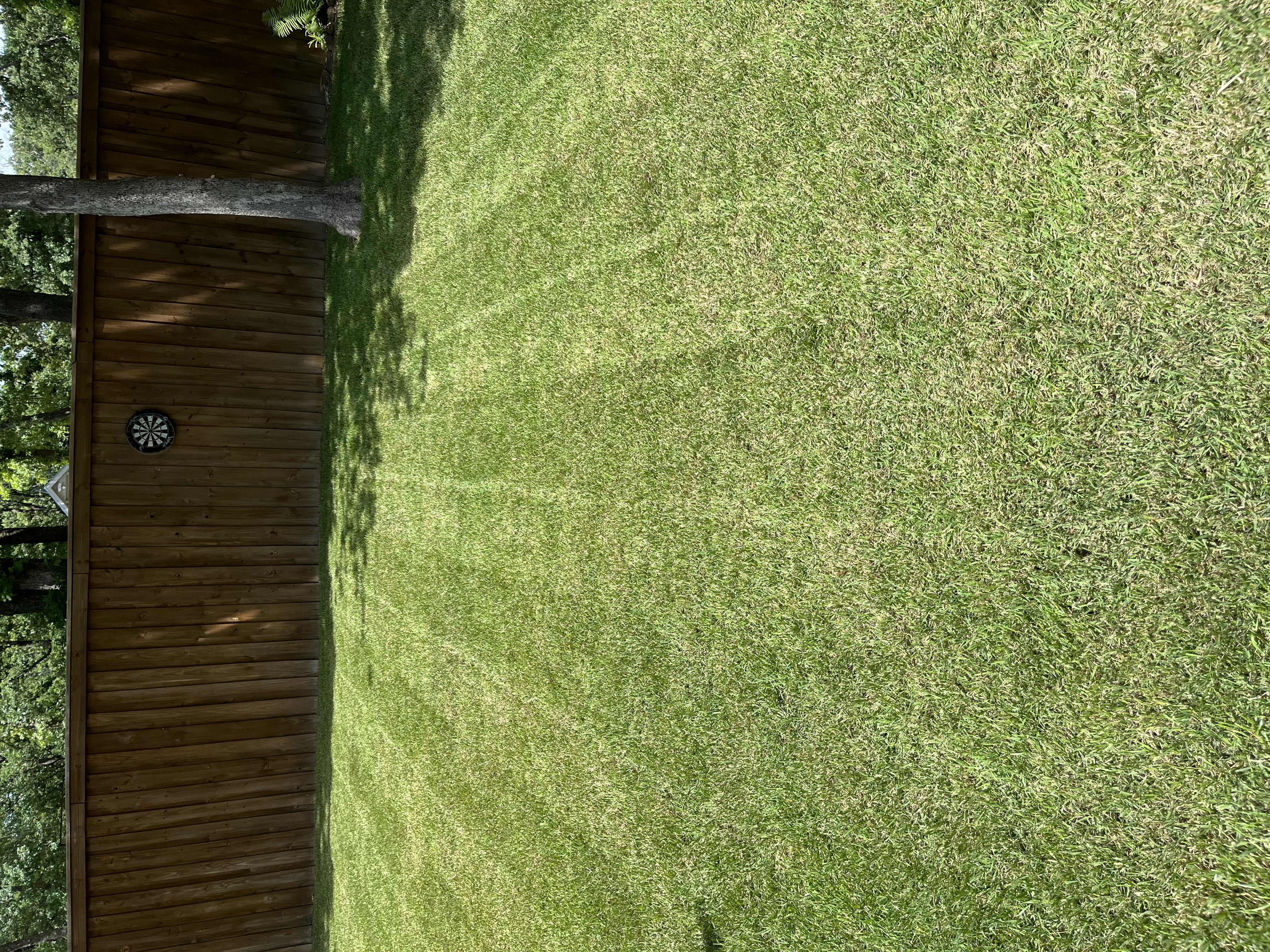 Freshly mowed lawn