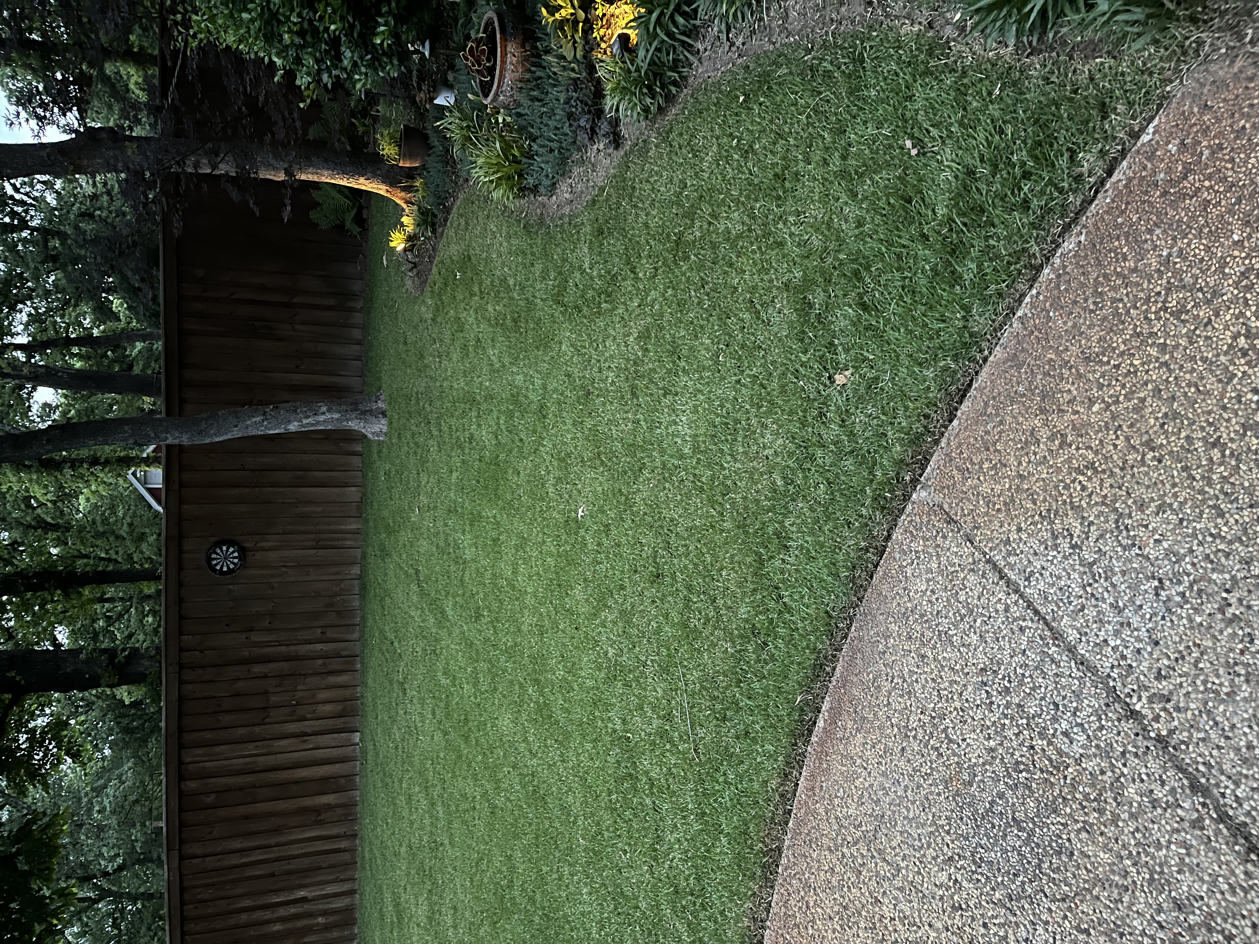 Mowed backyard with clean edges
