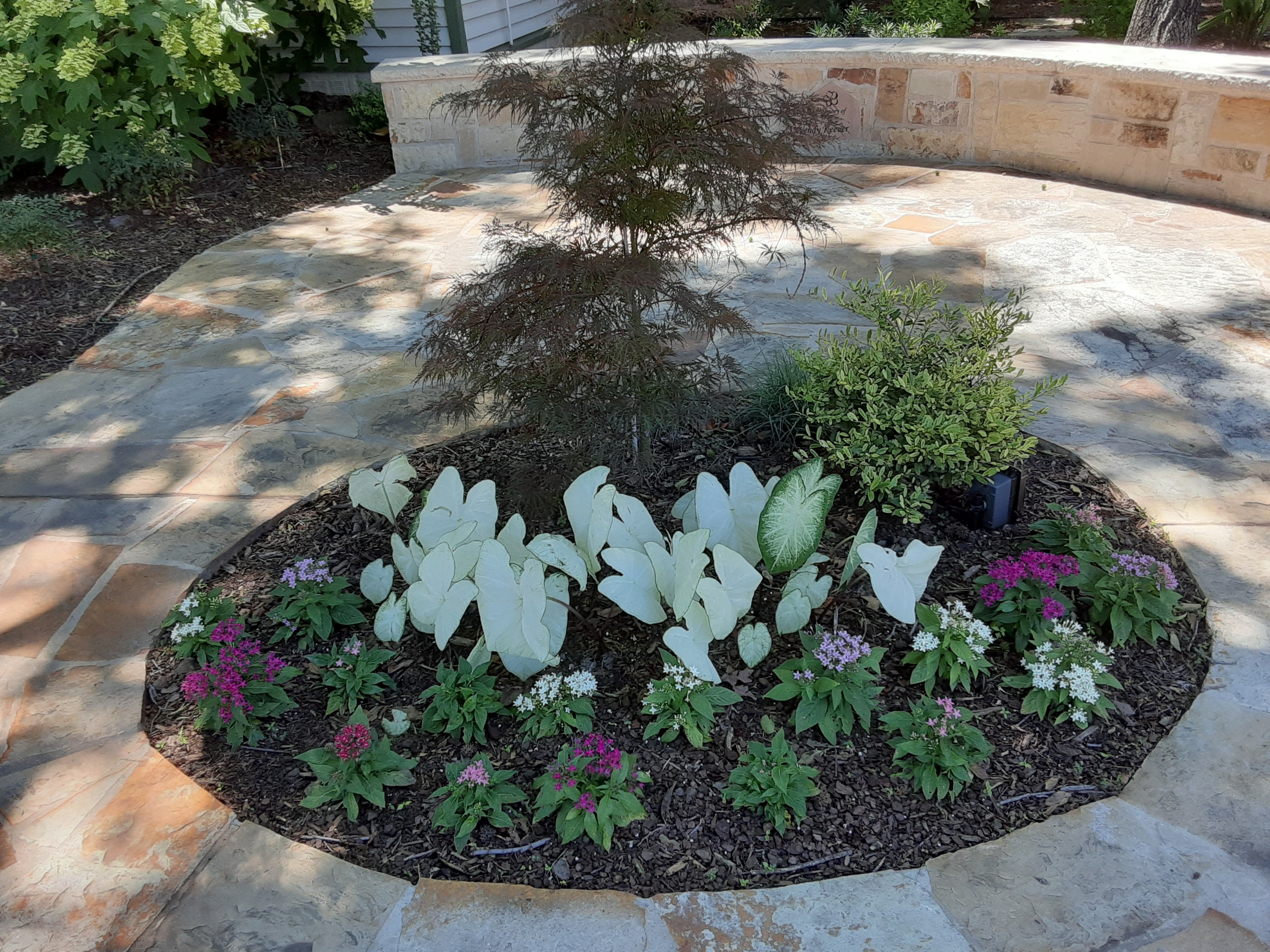 Stone pathway 3